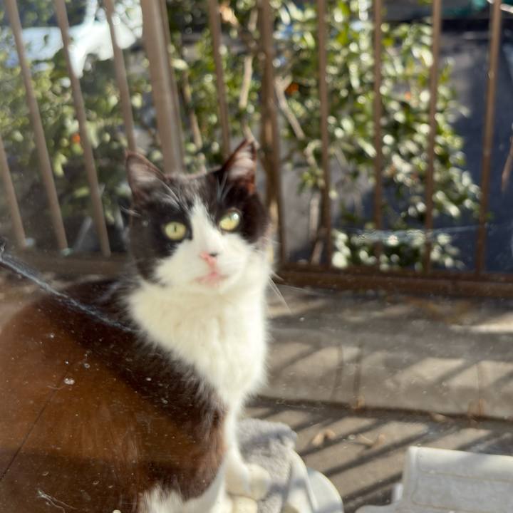 0b1f6c8d 0cdf 4af4 a3e7 064433b45f1a 1773483572182