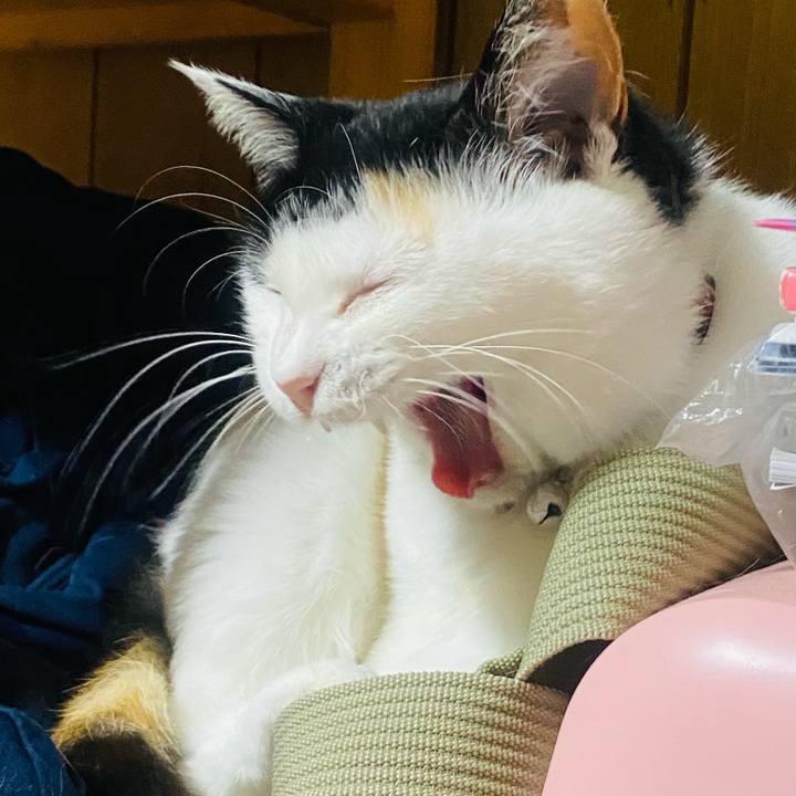 0b1f81f7 b0a1 41d6 bd85 0e4d2e85b90d 1654460184163