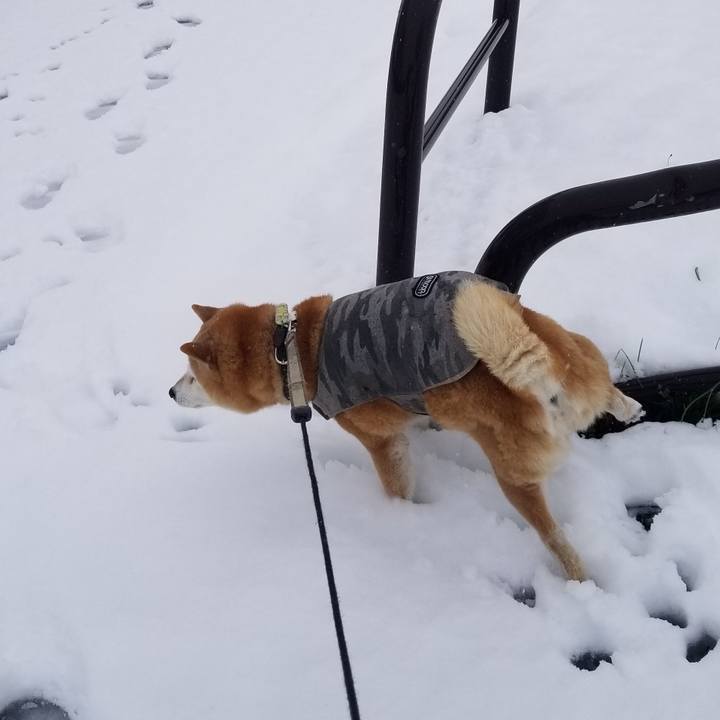 0b1faf54 69d1 4d25 a6fb 45349efa8e01 1700889644767