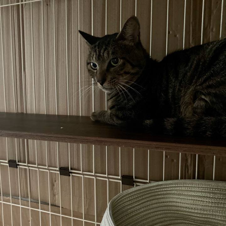 0b1fc346 a29c 43f7 86a0 4c5c8c54313f 1660650643872