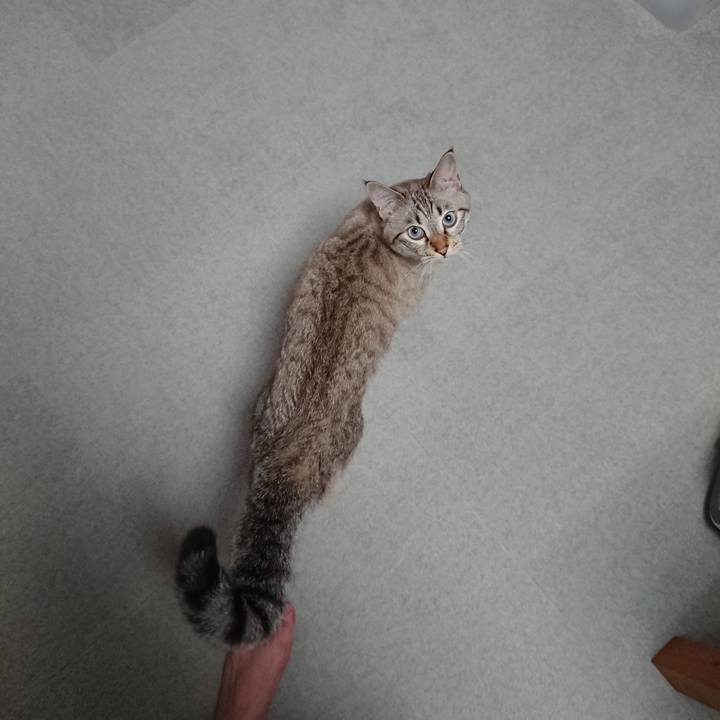 0b200c73 c2a5 4a69 9576 5a7d1138af97 1566904990697