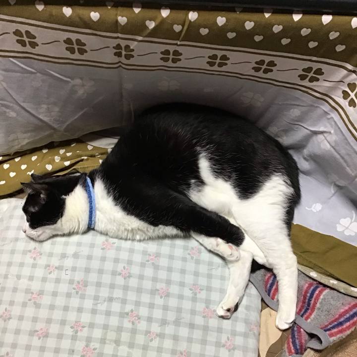 0b202c36 4f47 4131 b591 146d8cbd544b 1732093210573