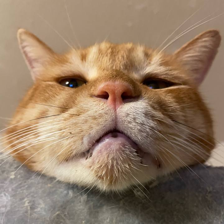 0b208540 a870 4b55 8119 6e40bc617d7a 1658837299624