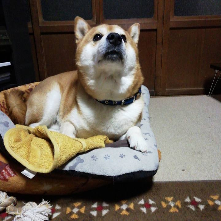 0b2094c0 e221 4e14 80a8 3a30a6abc0af 1584089824932