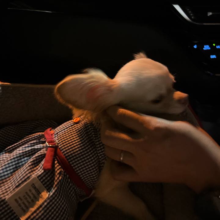 0b20ec49 f041 4992 a4a2 8f6fce7f6d1b 1661687840804