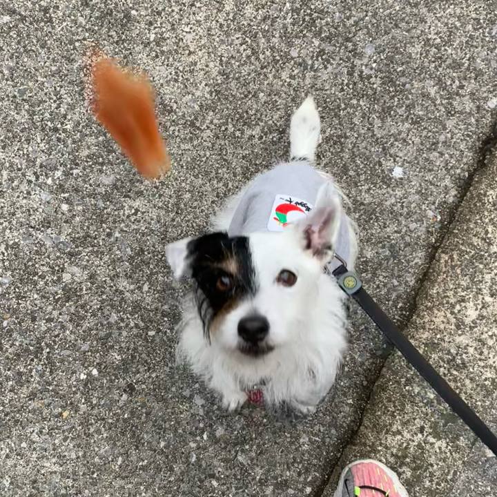 0b21015a 0d19 4ebc 9bd2 ab41a3687b70 1683416949249