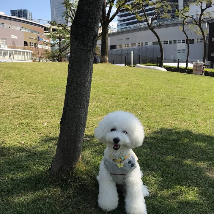 0b21243c 3f68 4c2b b086 af4350806019 1559203019489