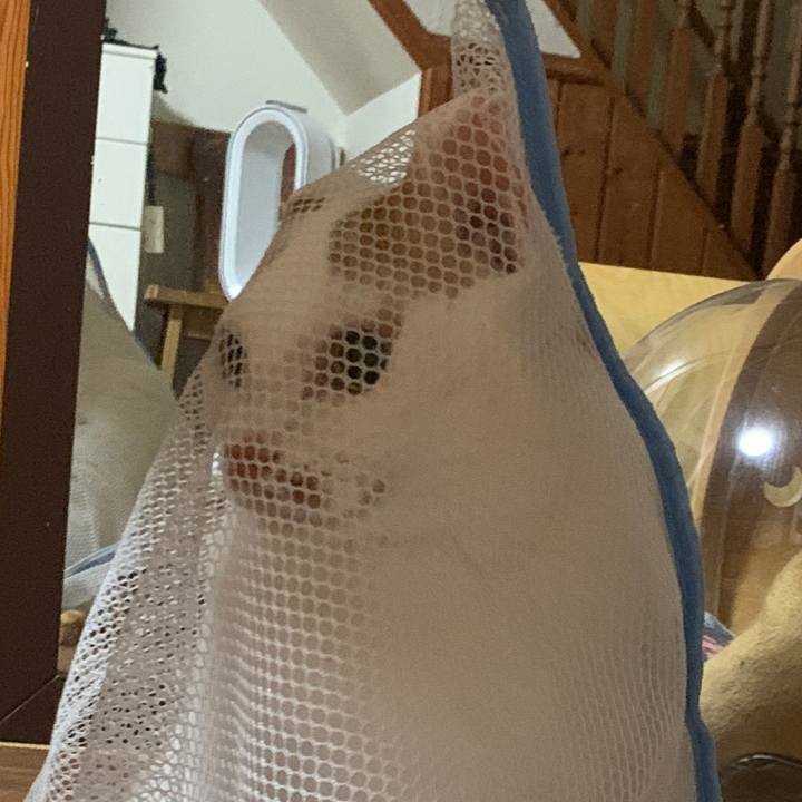 0b217dbc 0d53 4678 b45f 1187216e572b 1655907648509