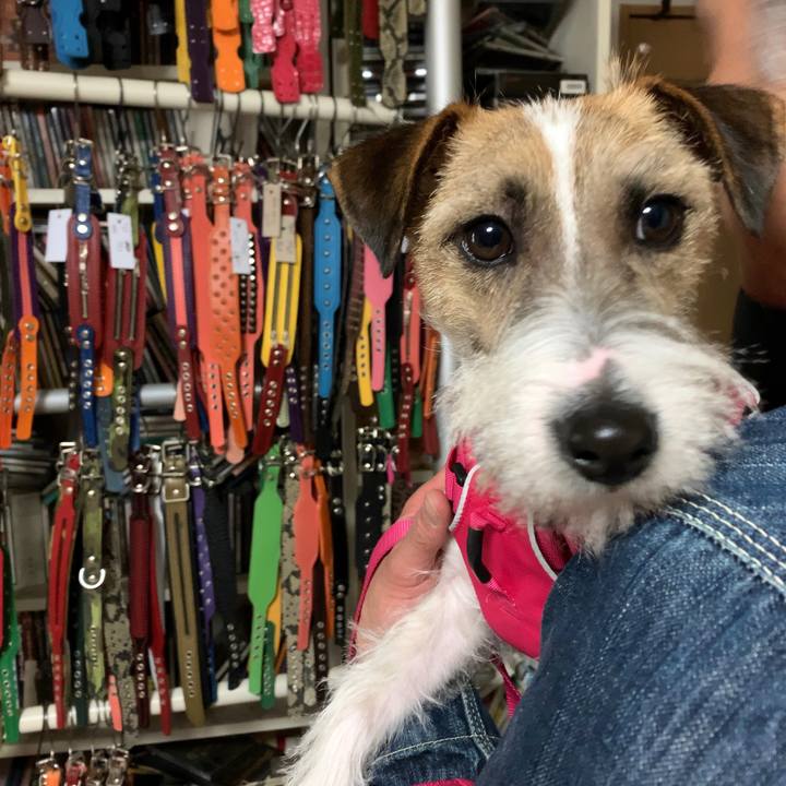 0b21a36e 654e 4323 bb7d 9bbb40d8ab67 1581759031698