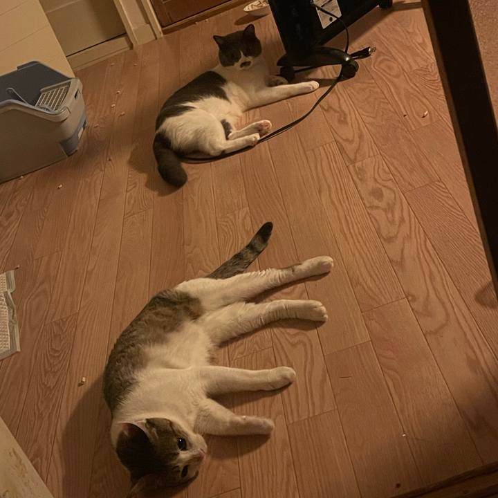 0b21fdcb 7442 4994 8b07 ca39c780a75c 1631284547625