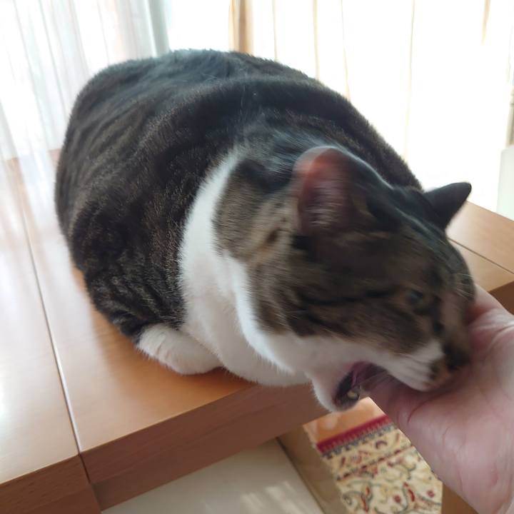 0b22251e 93cd 4d8d bac9 0619d36c30a3 1596932935127