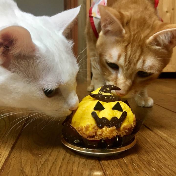 0b22584b 999f 40cc afc1 307dbd2013b8 1509444635902