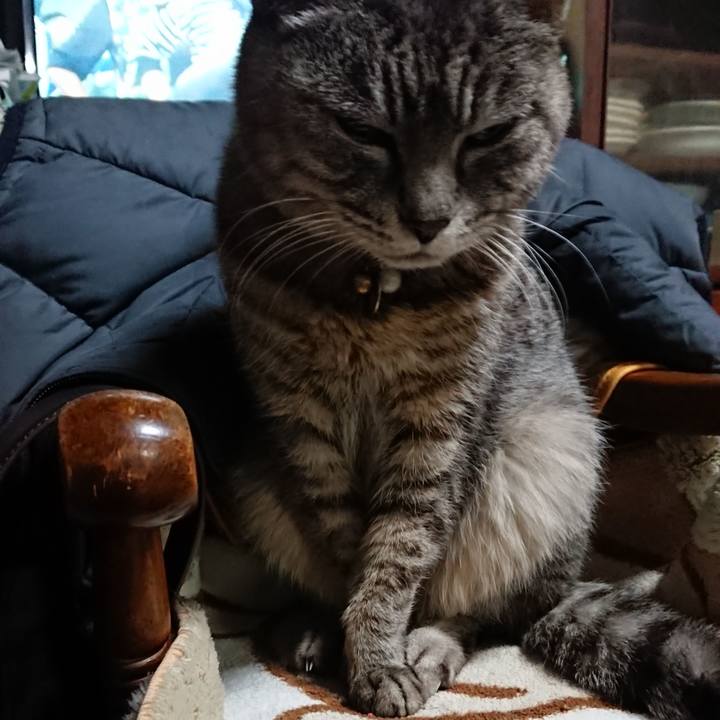 0b226012 d529 497b 9c32 323764e26a24 1551268743584