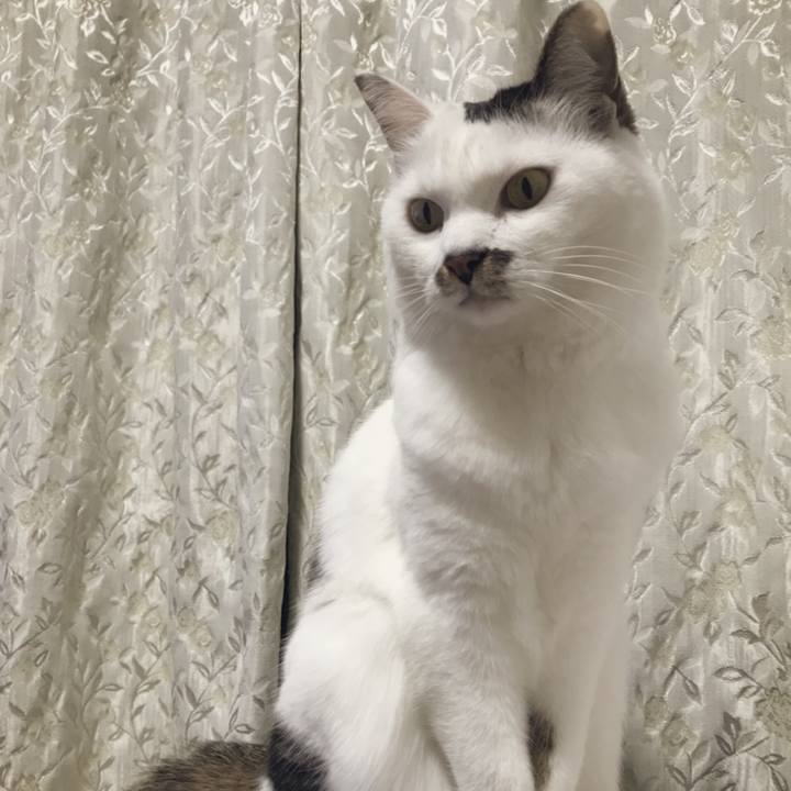 0b226a7c 27f0 45cd a342 f289f6607ee1 1547035874625