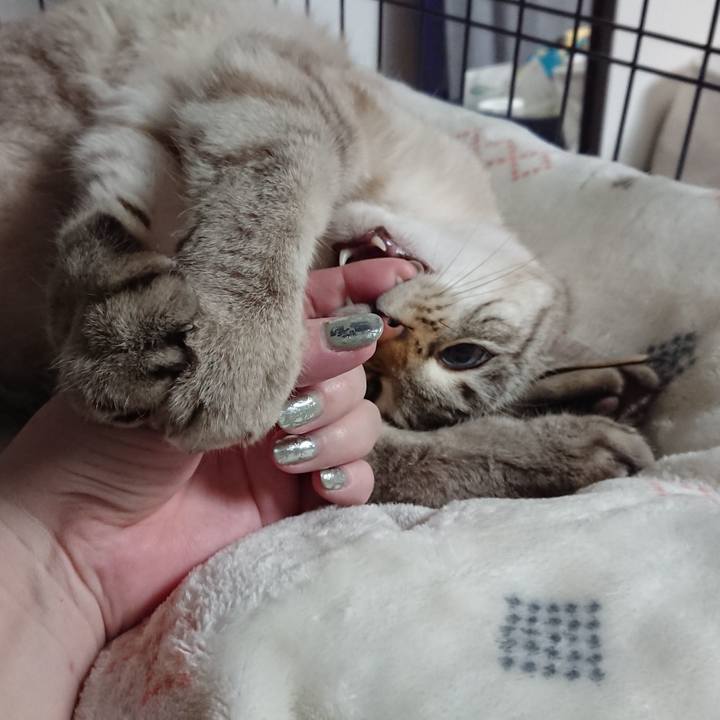 0b2277e2 5299 4a61 ab35 ff9962b602ce 1614010219169