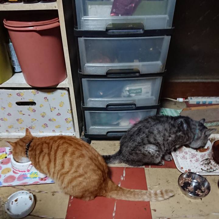 0b228e5c 69fe 44f1 95eb 4adfa8af1ec3 1570132569813