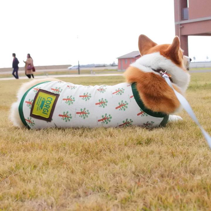 0b22974e 4b72 4d29 91cd dd92fc263a33 1542035156014