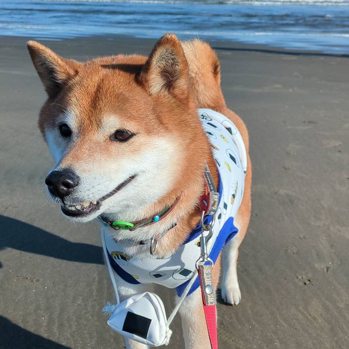 0b22ecde 1169 4167 85a5 d3f56725f717 1773475336811