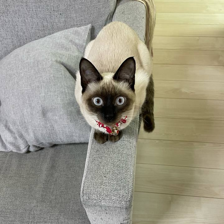 0b230925 2d36 4e69 91c7 b12d444bf84b 1702236045302