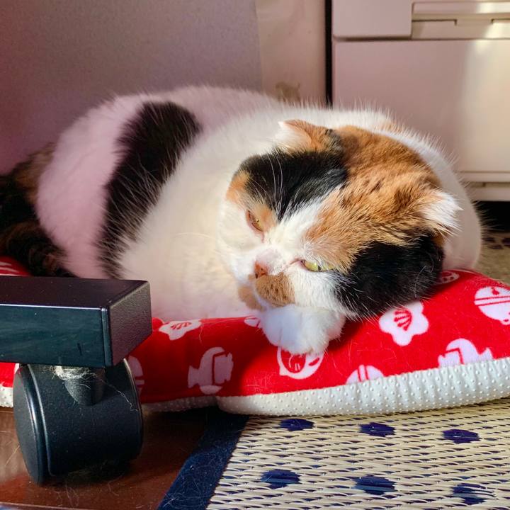 0b232c83 5fda 4c78 966d 7fb06fc47938 1563741885773