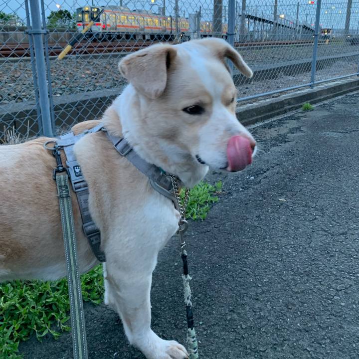 0b2349be 01eb 4fe0 9e3f fcb57656d563 1557318478059