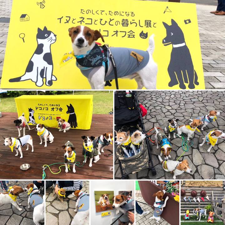 0b238ce8 c9d5 46b2 bd3c ac8ae841d91c 1560078922720