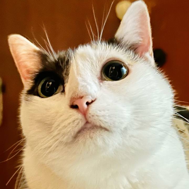 0b239575 9024 4635 a252 e9ac0e10526b 1690244782239