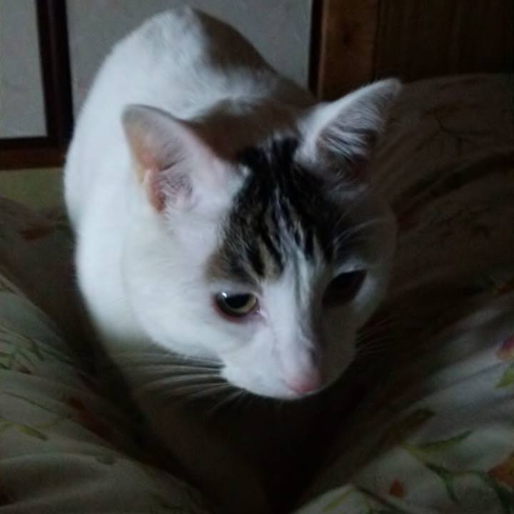 0b23bc58 0a6a 4c10 9ce6 92e87b299804 1514211374026