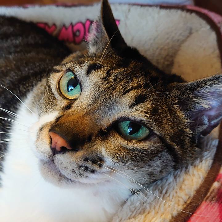 0b23cf71 1a01 4f40 824a b795f6b5f67a 1618647708432