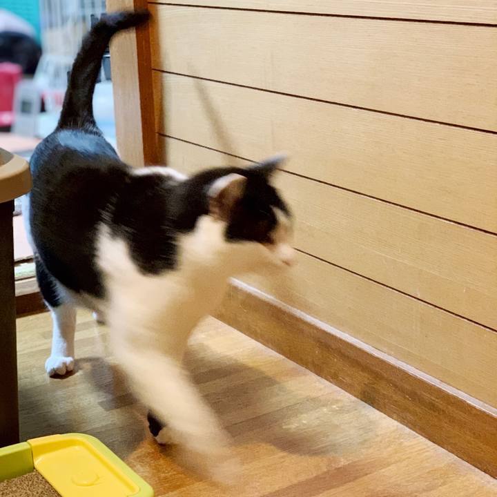 0b23edfc 10dc 461d b199 2cb26ea77281 1549767560954