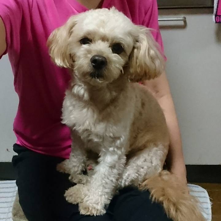 0b23f48c 6841 44cd bc27 4ee45b41f1d7 1564831169615