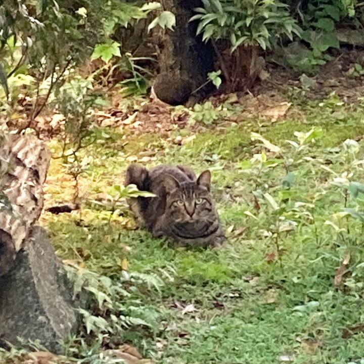 0b244821 0136 45c9 9078 bf9103a72f7a 1628117840560