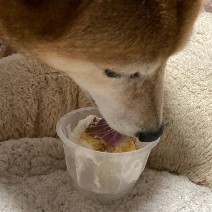 0b244e22 5562 472c b60e 5774137bf9cc 1635339607719