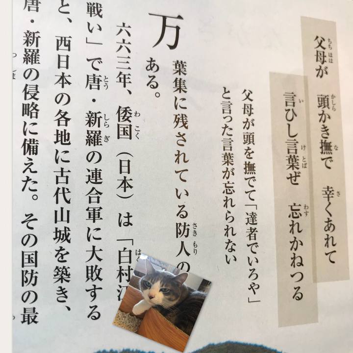 0b246811 b4ee 45ac 9a12 ff8211569181 1526569365122