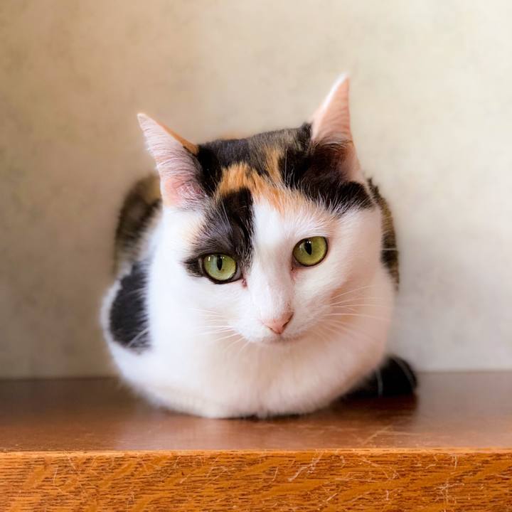 0b2471de 1b4b 4d5f 8afa dbfaee109be3 1562031770308