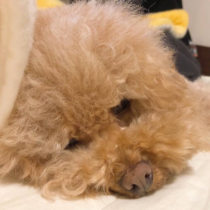 0b248036 6895 4bbb b30f df969709bac3 1514849426676