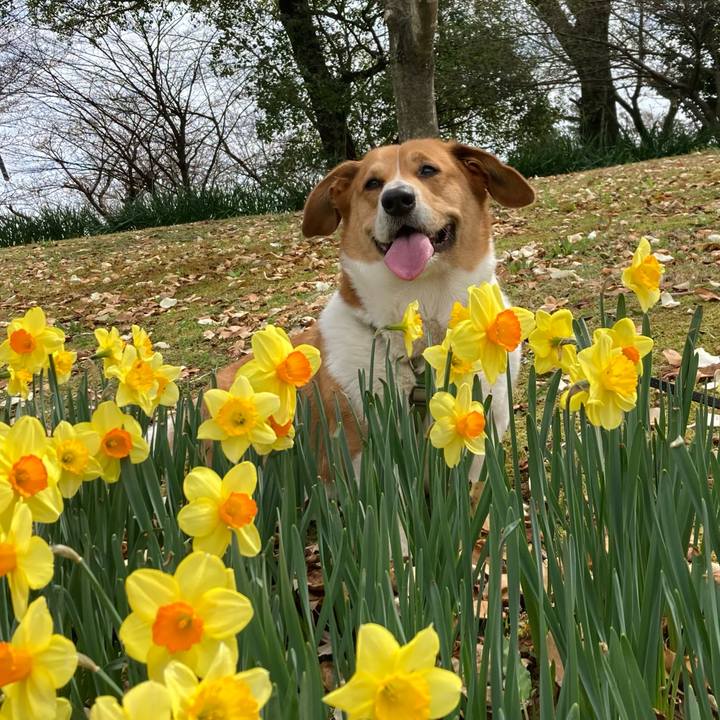 0b248070 bcb3 485e a54e 591289bc5231 1743317612852