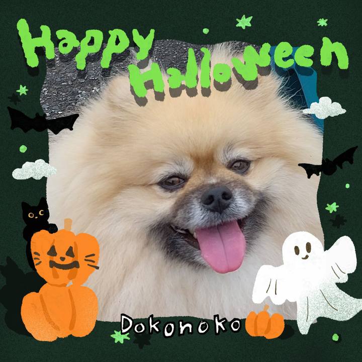 0b2495ac 0896 4660 b783 8f1b12f5fda5 1729137050114