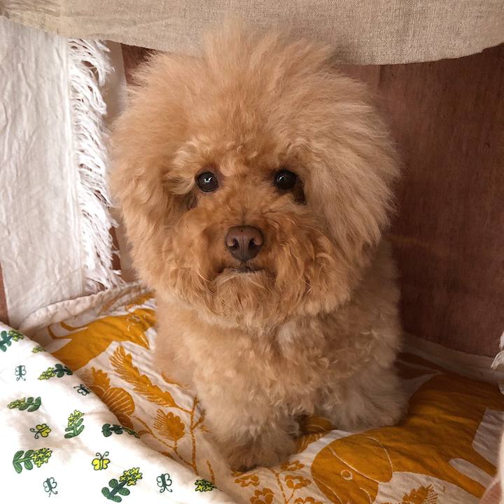 0b24991a 4408 49e9 bf94 3c5d6ca603ad 1559037390097