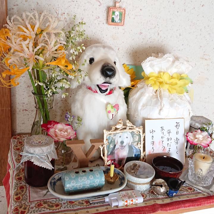 0b24a6d0 a749 4a18 bdb4 a48bfa228374 1601114105583