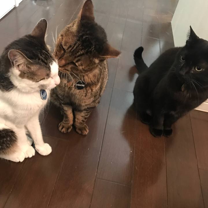 0b24b60a 8bcc 4747 b282 e06e67def5b9 1521367379925