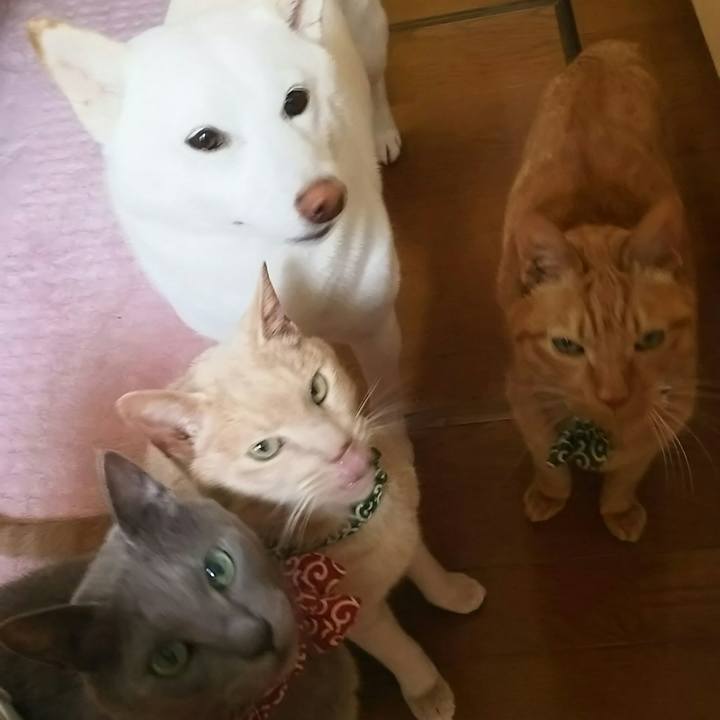 0b24b773 4444 44b1 a089 78f97bcabcc2 1527243962127