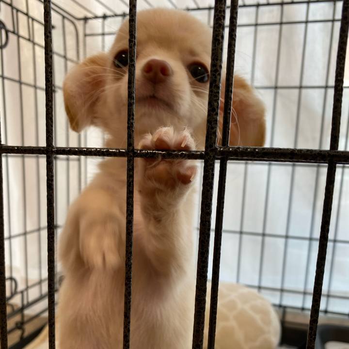 0b24bc5e 63f1 4da9 9f93 85a5ffa50bc0 1663585321191