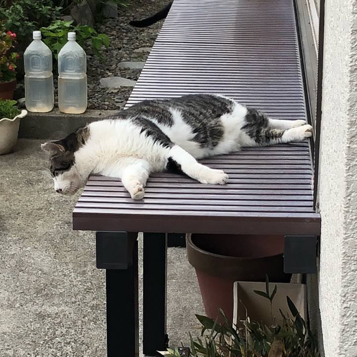 0b24cc34 3fb8 4e70 a5e1 67ffdf11a63e 1534408252355