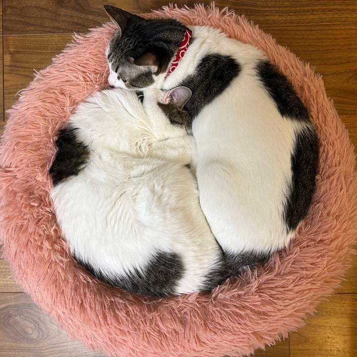 0b25068c 593d 41d5 8ea3 6dacb7027b83 1766831332832