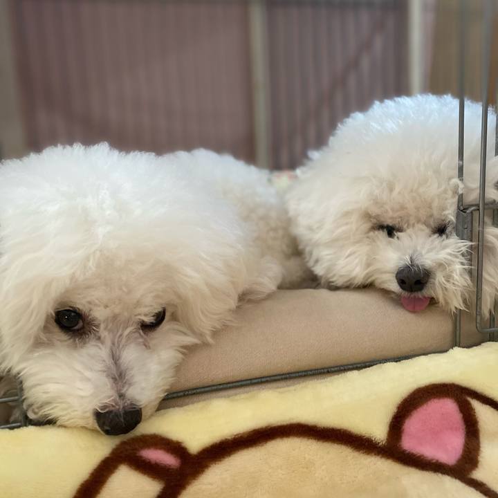 0b251a45 a0e7 41b8 92c0 7b0bc9a12a98 1613977616687