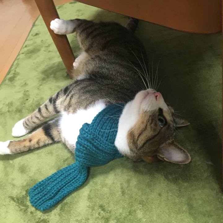 0b251dbb d88b 4afd 965f 45c8adceed09 1703111494144