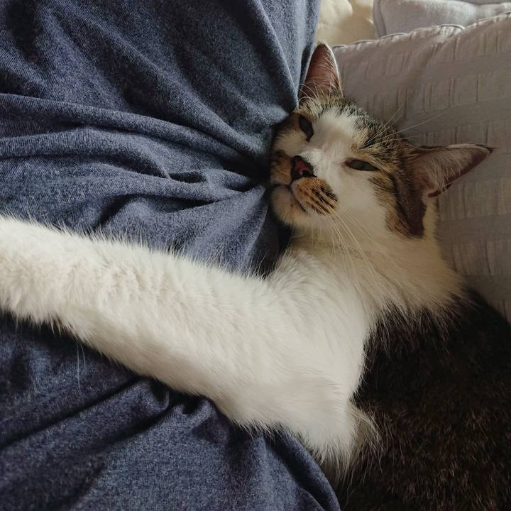 0b252388 61ff 4e05 97af 485f670be5d7 1595038518059