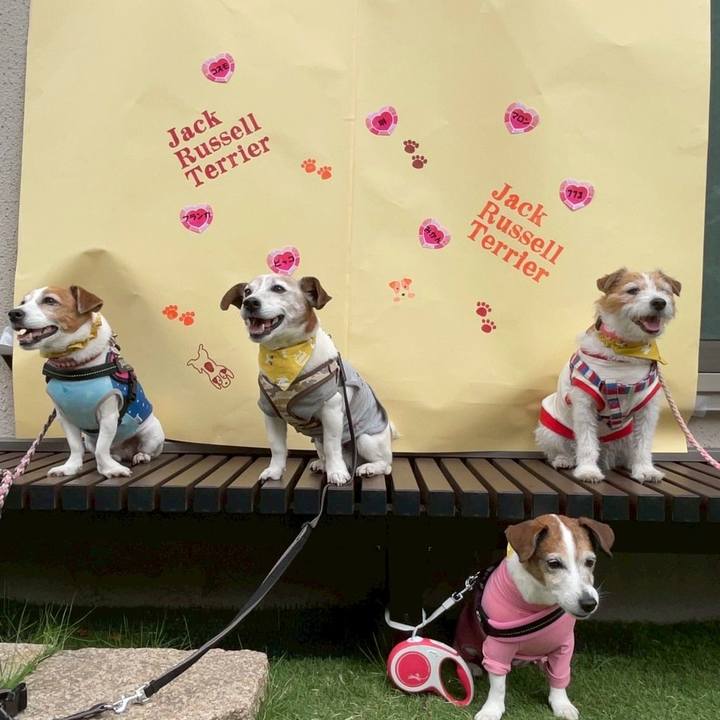 0b253783 aa2b 447f a611 abee0b827357 1747439207704