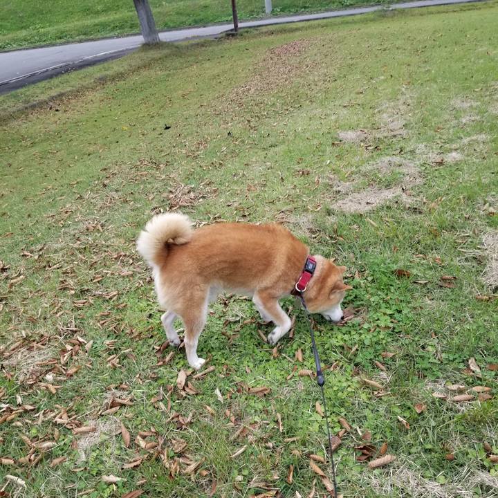 0b254acb ae90 4b96 937a 4cc368bf4eec 1729742908241